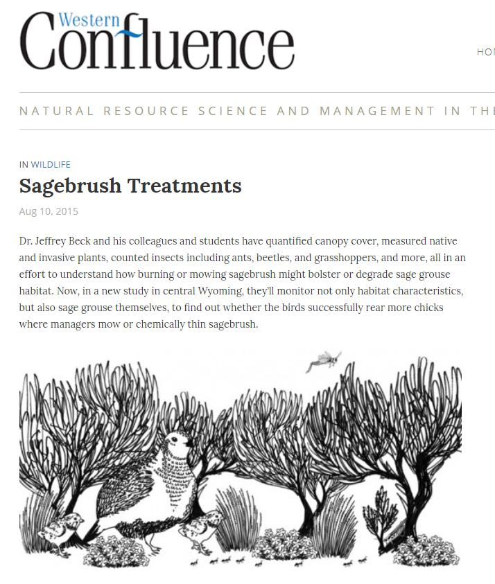 Screenshot of article and illustration. Illustration depicts sage grouse and insects sheltered among several sagebrush plants.