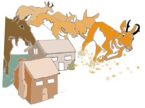 Illustration of a moose and a herd of pronghorn surrounding two houses