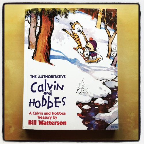 Hobbes of Calvin and Hobbes fame, Tigger’s fiercest rival for friendliest tiger ever drawn.