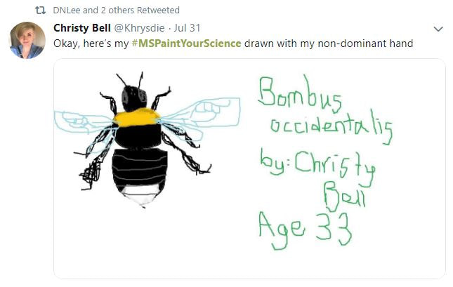 arge bumblebee with yellow stripe on thorax and white spot on abdomen, done in ms paint. Text reads ‘bombus occidentalis by: Christy Bell Age 33’’