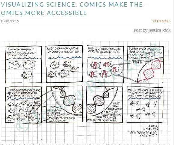 Cartoon of fish and how different visible traits of the fish get passed down and how DNA functions and the appearance of the fish evolves over time in this inheritance process