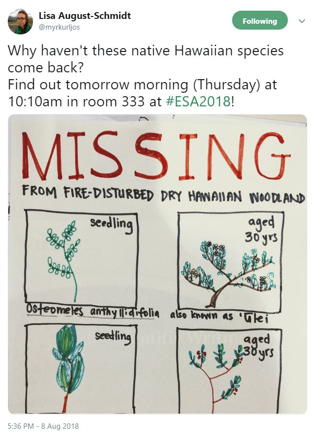 Four boxes showing seedling and adult versions of two different species of shrub, hand drawn with marker. Text reads “ Missing: from fire disturbed Hawaiian dry woodland. Last seen ca. 1987 in assoc. with metrosideros polymorphia. Any Info?’’