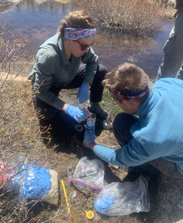 Two people at the edge of a wetland, working to collect data samples. Person on left holds a cup and pours liquid into a tube held by person on right. Both people are kneeling/crouched over the equipment.