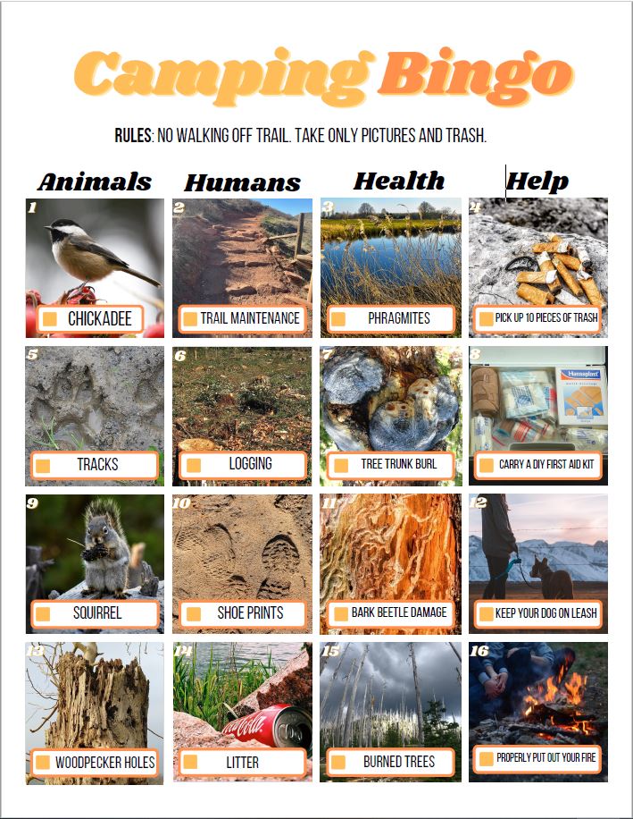Screenshot of a camping bingo sheet. Text at top reads: Camping Bingo. Rules: No walking off trail. Take only pictures and trash. Categories on the bingo card include animals, humans, health, and help. Full-text accessible version is available by clicking the download link below the image.