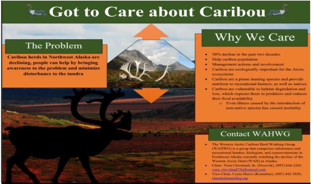 Screenshot of poster the student author created. Includes contact information for relevant agencies and some statistics also mentioned in the main text of the article.