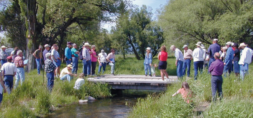 A group of people are gathered on either side of a small stream as a speaker addresses the group from a wooden bridge going across the stream. It is a sunny summer day.