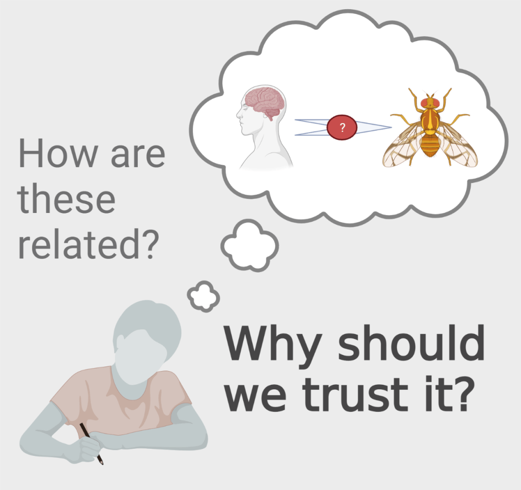 Person is sitting with a thought bubble over their head that contains a human head with an arrow pointing to a fruit fly with a question mark over the arrow. The text around the person reads “how are these related” and “why should we trust it”.