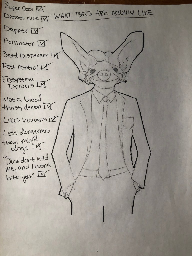 A pallid bat with human arms and legs donning a fashionable suit. Next to the image are check-boxes of ecosystem and economic benefits bats provide including satire topics. Beneficial characteristics and satire topics include: Super cool, Dresses nice, dapper, pollinator, seed disperser, pest control, ecosystem drivers, not a blood thirsty demon, likes humans, less dangerous than rabid dogs, and “Just don’t hold me, and I won’t bite you”.