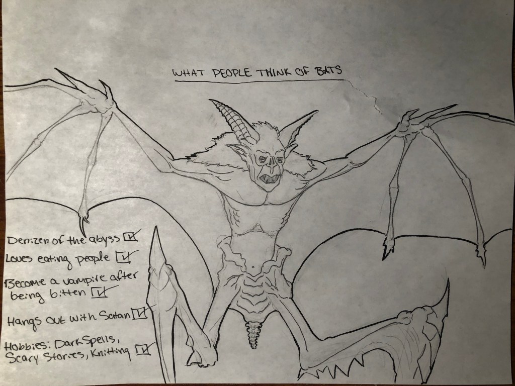 llustration of a devilish looking bat. Next to the image are check-boxes with
misconceptions the public has about bats including some topics that are satire. Misconceptions
and satire topics include: Denizen of the abyss, Loves eating people, Become a vampire after
being bitten, Hangs out with Satan, and Hobbies: Dark spells, scary stories, and knitting.