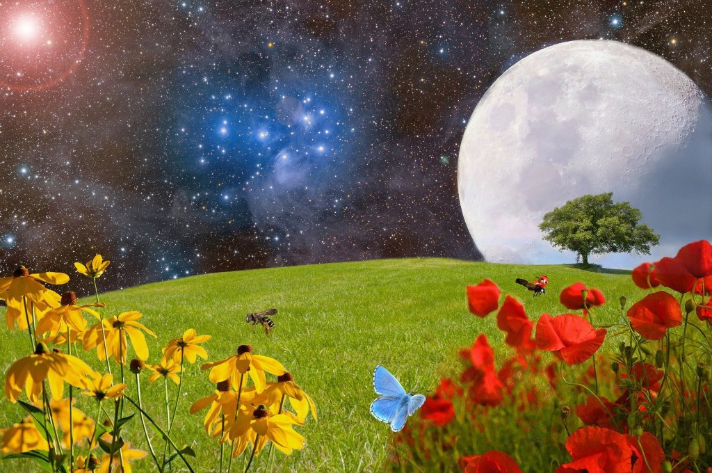 This picture is a scenic view that shows foliage of grass and flowed accompanied by various insects flying around. The sky is replaced with an outer space scene that includes stars and the moon.